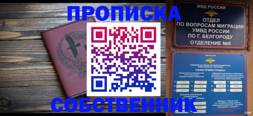 временная регистрация для школы в Королёве